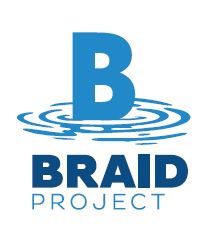 braid project.png