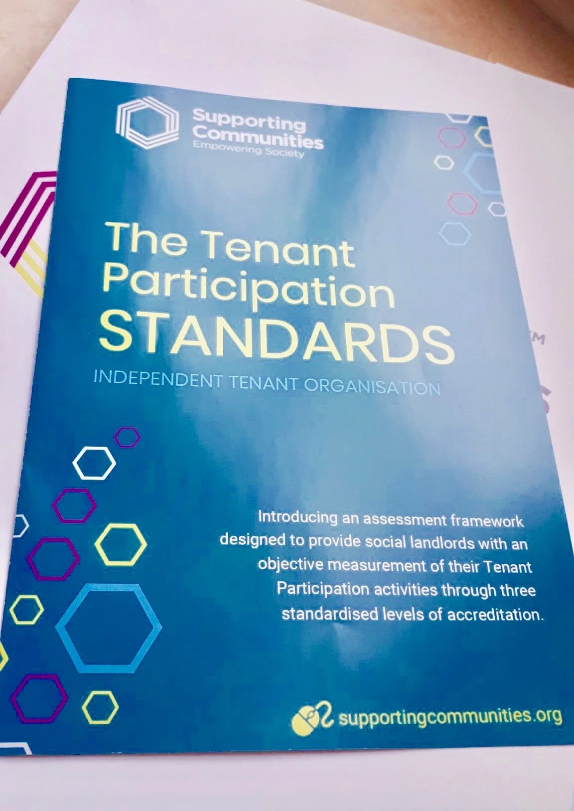 New Tenant Participation Standards&nbsp;Launched&nbsp;for&nbsp;NI&nbsp;Social Landlords
