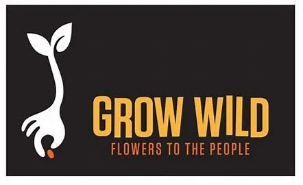 Grow Wild Community Programme Opens Applications for 2026 Projects