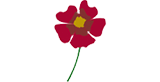 James Tudor Foundation’s Physical Health Grants – Applications Open 1 July