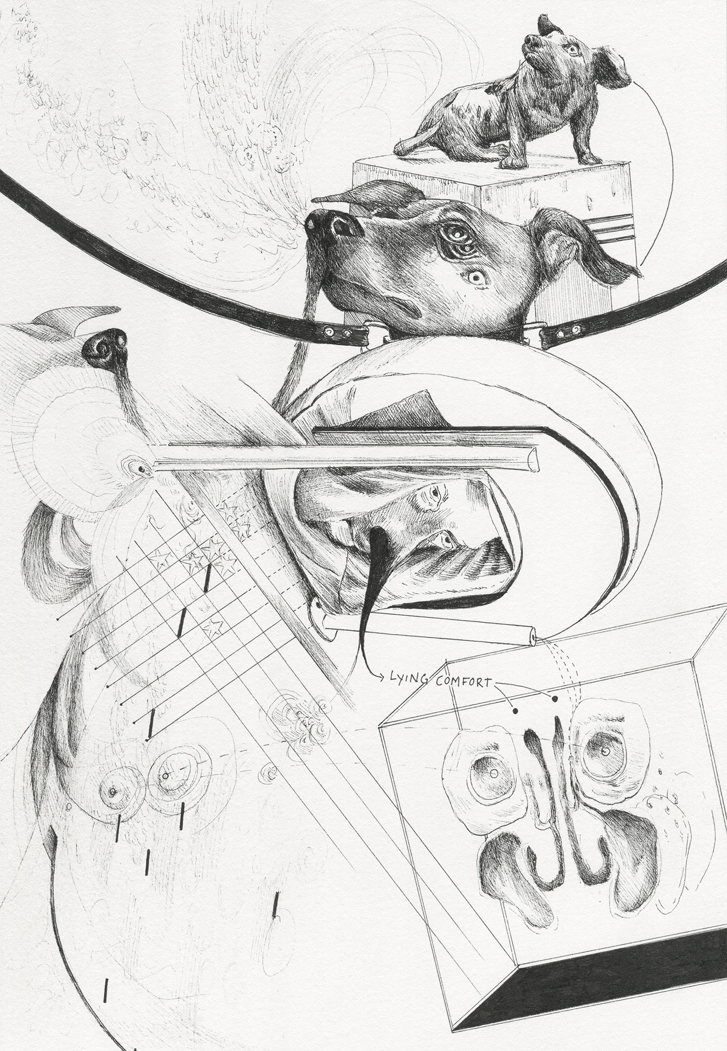 "Olfactory Vivisection" 2017, 7x10"