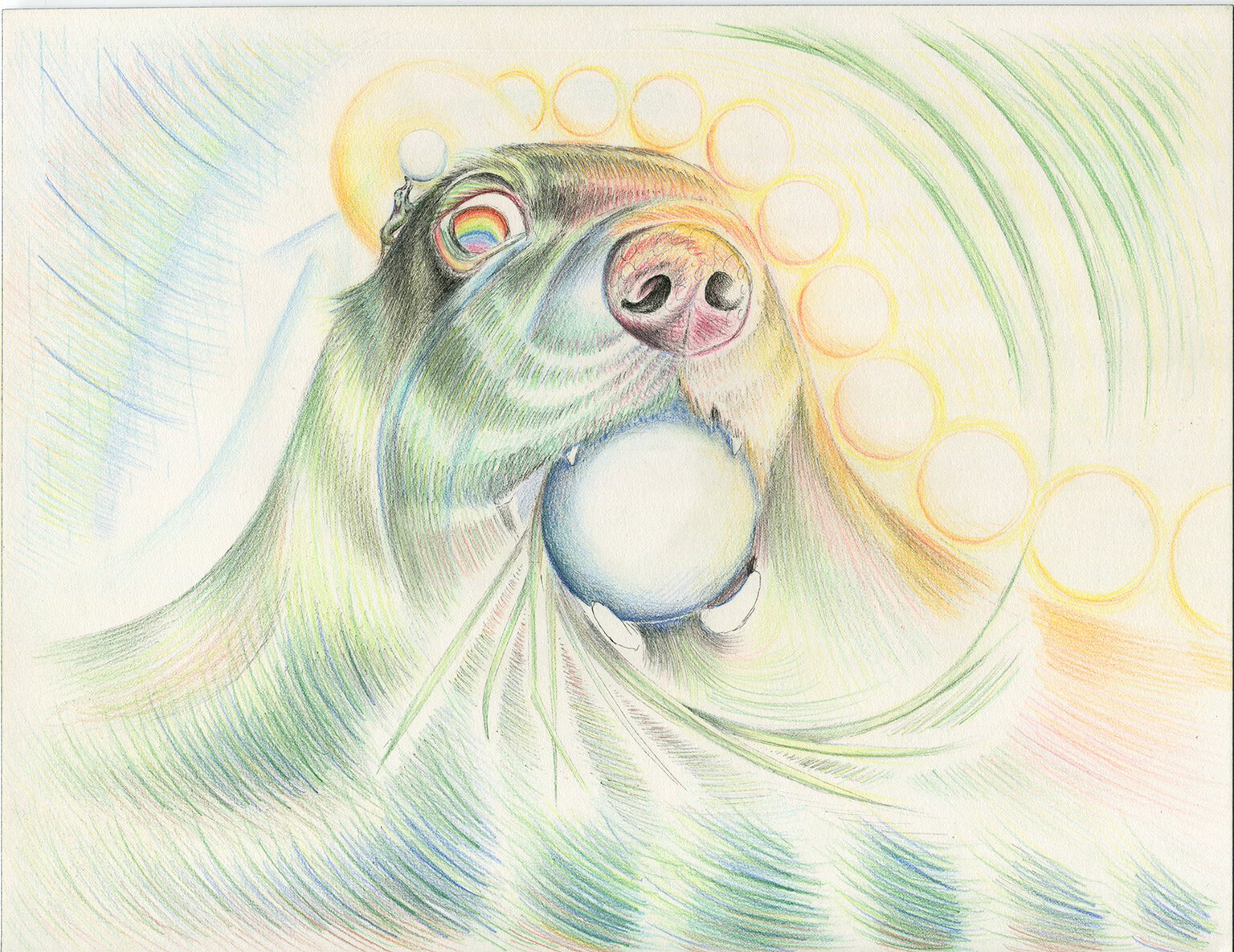 "Windward/Leeward", Ink and colored pencil on paper, 8x10", 2020.