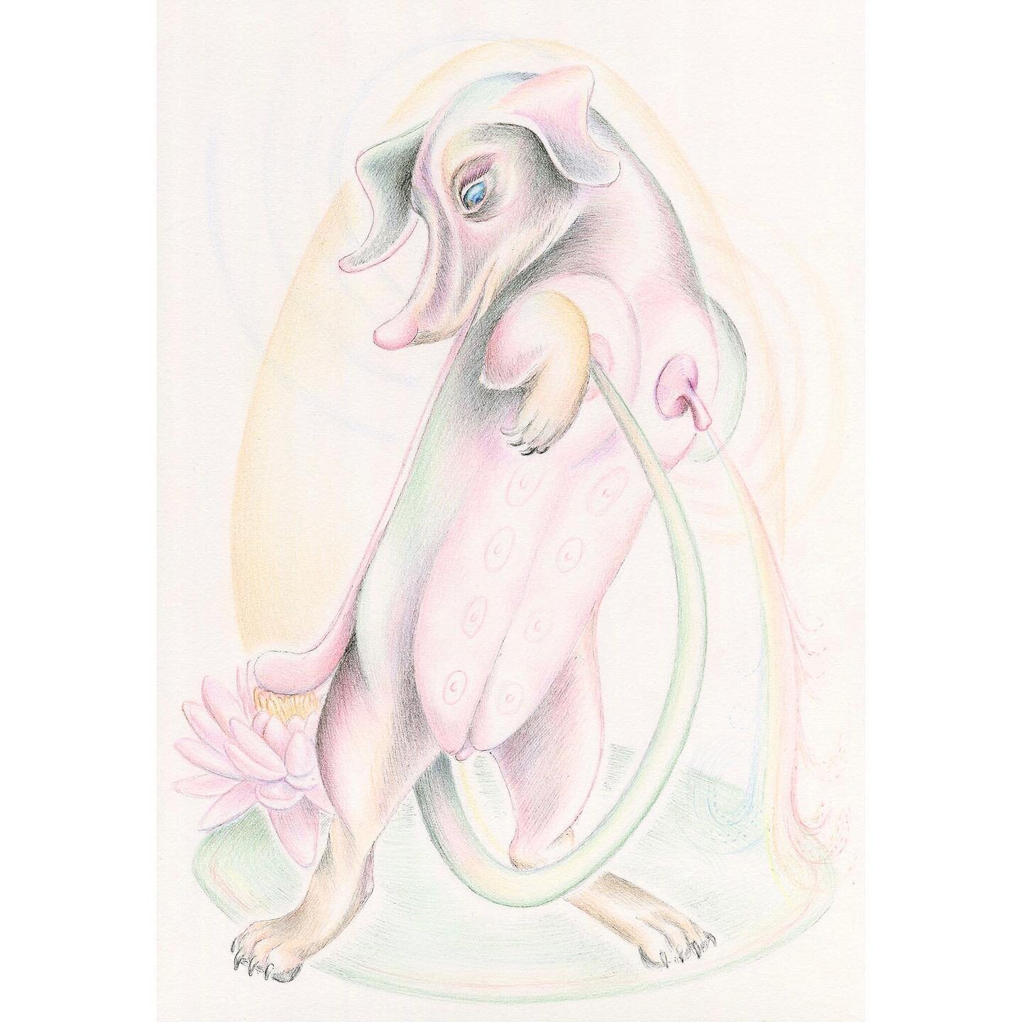 This is a drawing for everyone who gets high on oxytocin. 

&ldquo;Bond of Union&rdquo;, ink and colored pencil on paper, 7x10&rdquo;, 2021.

#aceofcups #oxytocin #breastfeeding #freud #grownupgirl #dachshund #lotusflower #interspecies #love