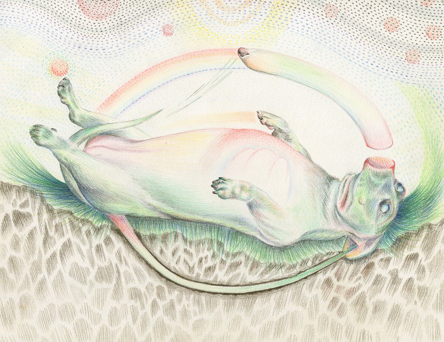 “In Submission to the Unknown, Playing Dead”, Ink and colored pencil on paper, 11x14”, 2020. 