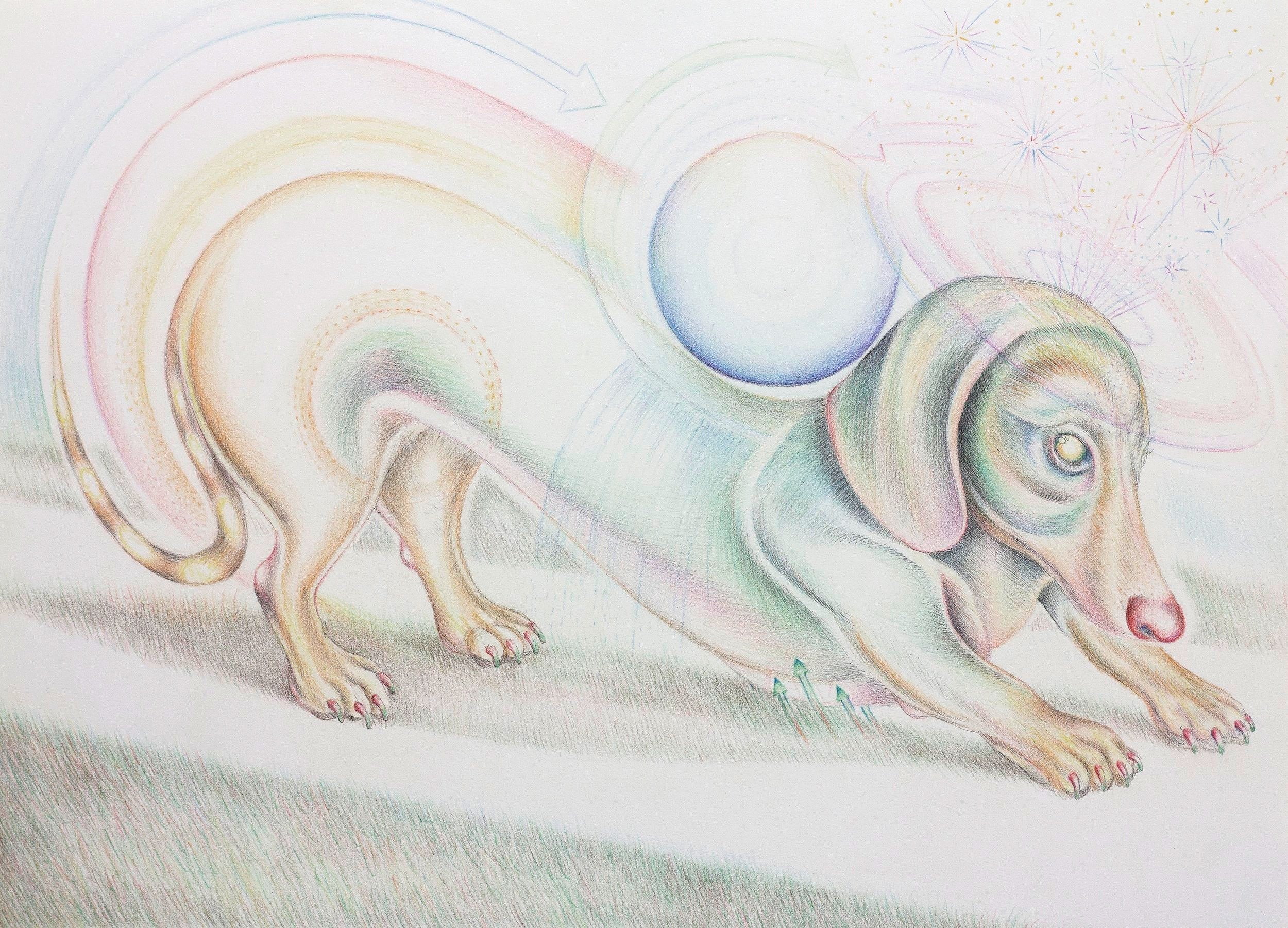  “Inward Facing Dog”, Ink and colored pencil on paper, 11x14”, 2021. 