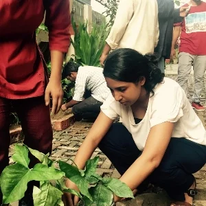 Community Gardening