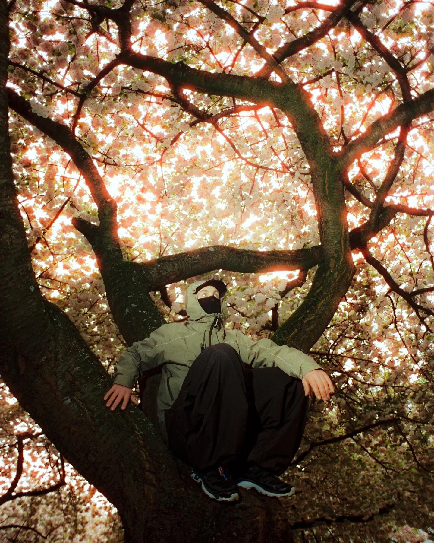 ✨ full bloom. 🎞️ [swipe] {anzeige}✨ 
.
Yes, I still shoot photos. Yes, I still love it. Just some cherry blossom conceptual snaps, captured on @cinestillfilm 400D, my go-to film 🎞️ reminder to self: Take more photos. 
.
#TomorrowIsYours #always823 