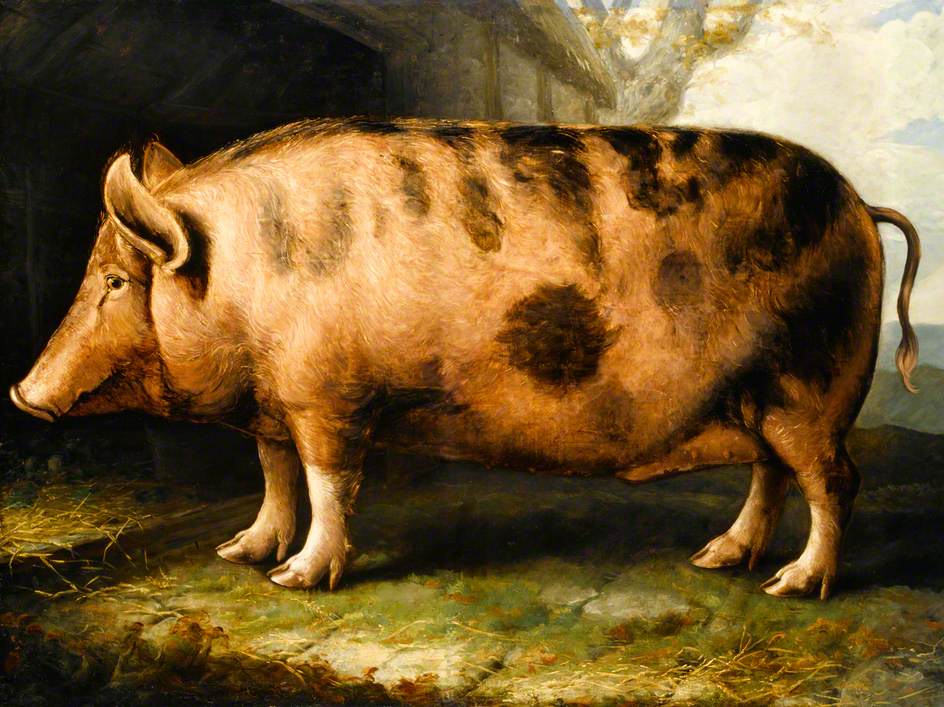 (c) National Museums Scotland, National Museum of Rural Life; Supplied by The Public Catalogue Foundation