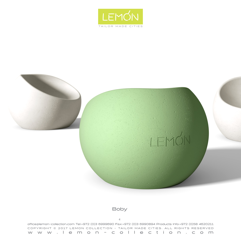 LEMON_BOOK_24.004.jpg