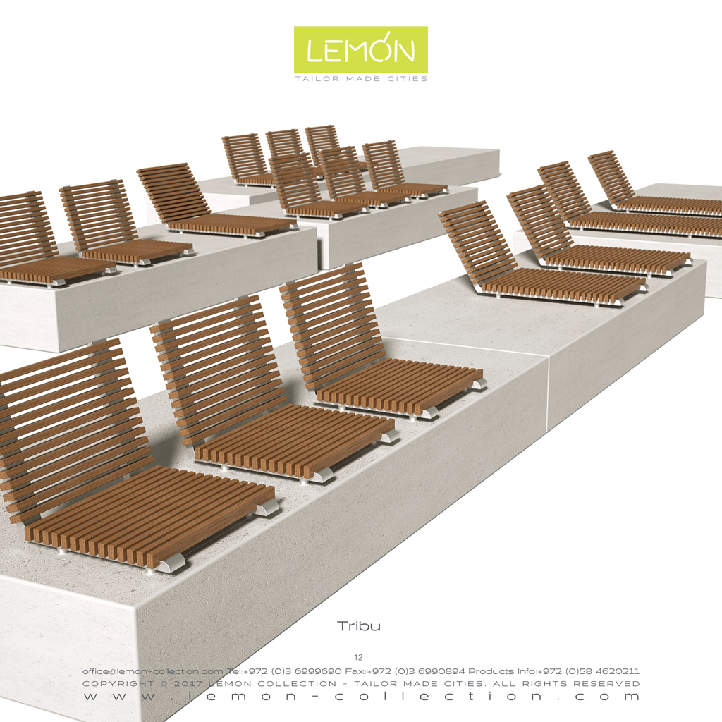 LEMON_BOOK_24.012.jpg