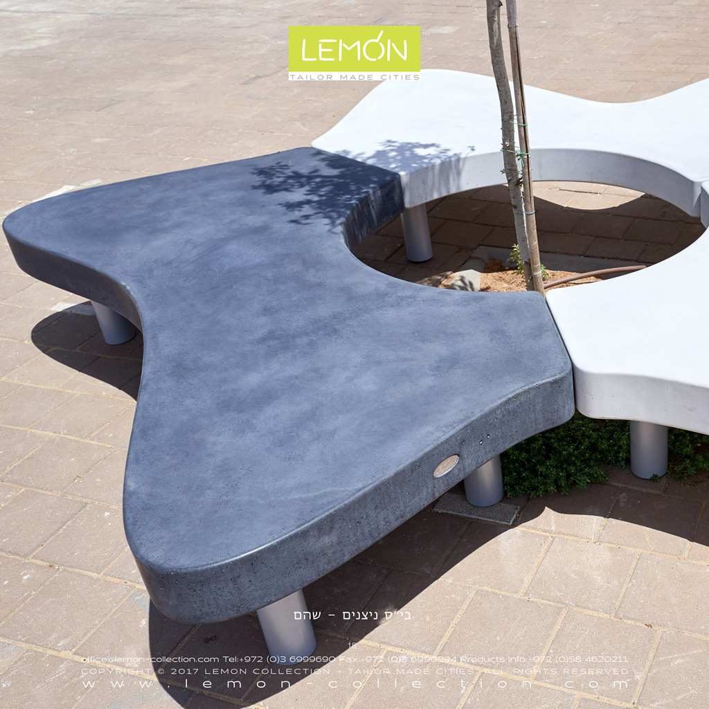 LEMON_BOOK_24.018.jpg
