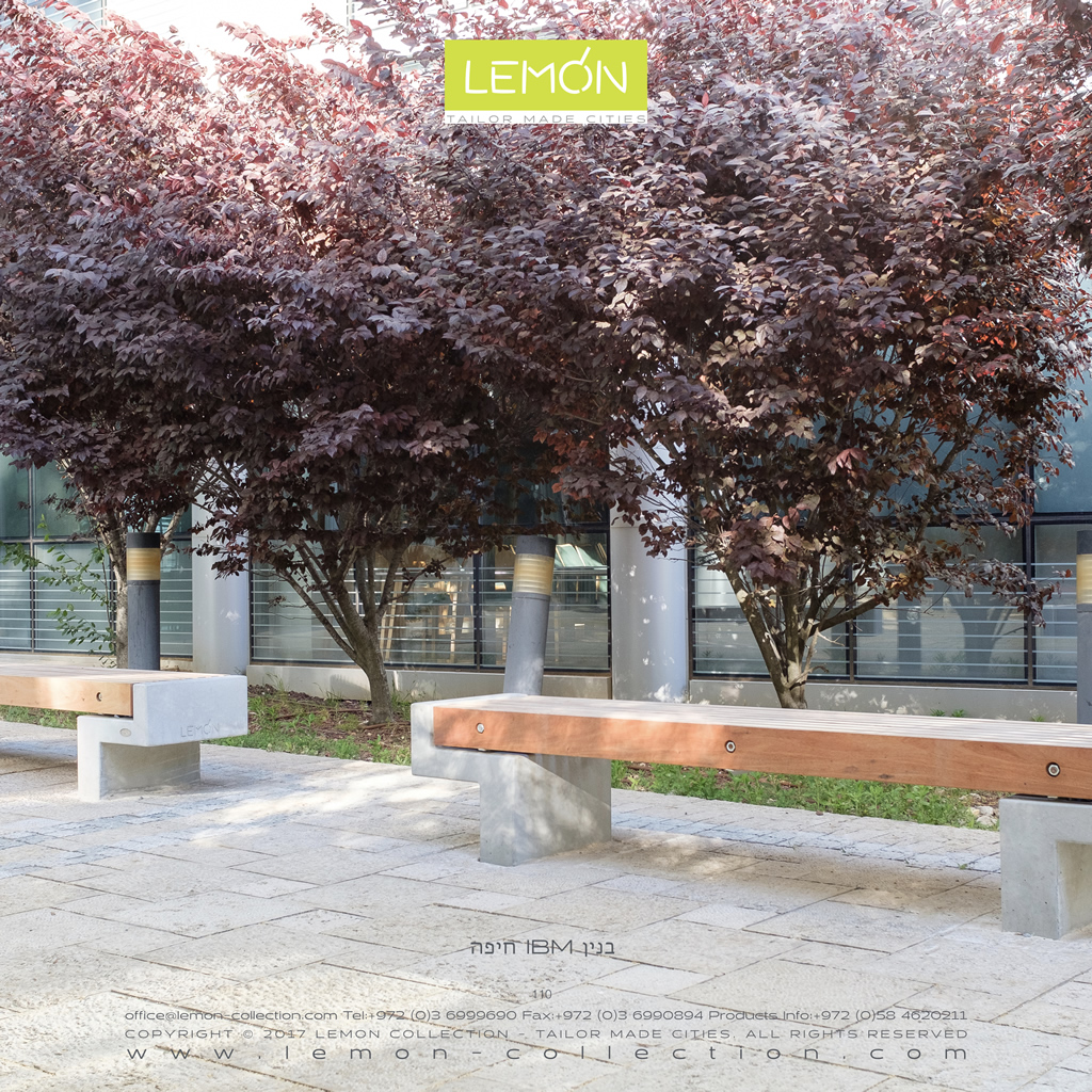 LEMON_BOOK_24.110.jpg