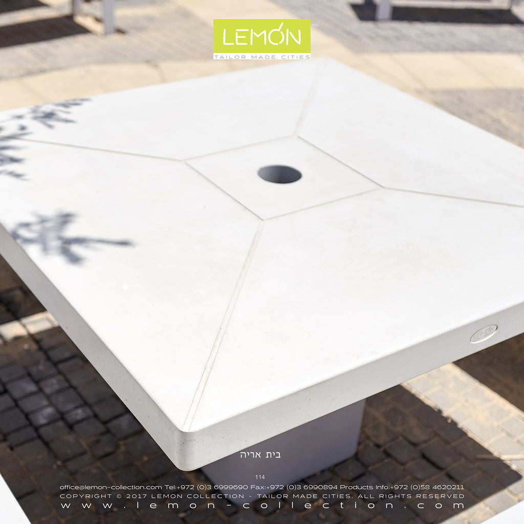 LEMON_BOOK_24.114.jpg