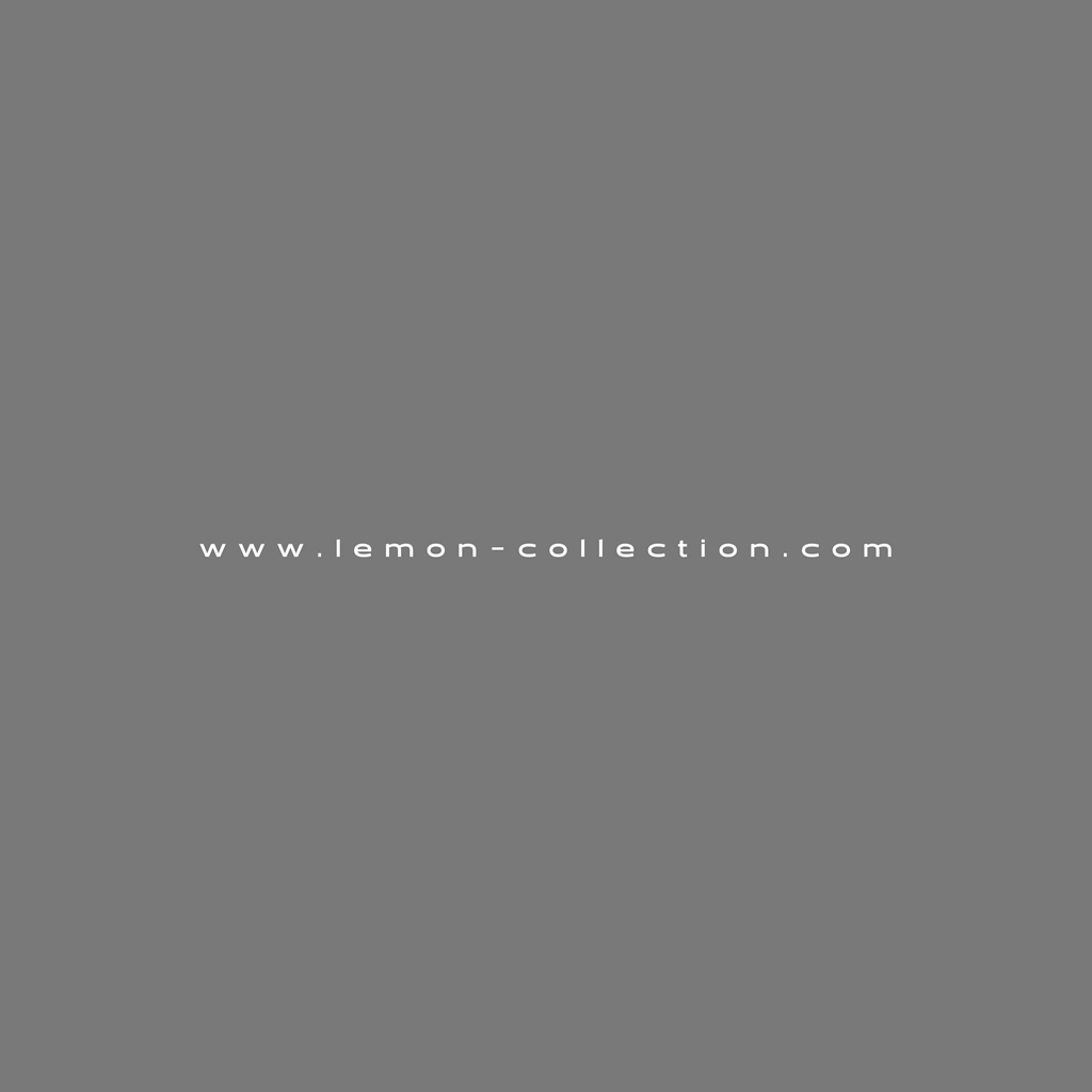 LEMON_BOOK_24.127.jpg
