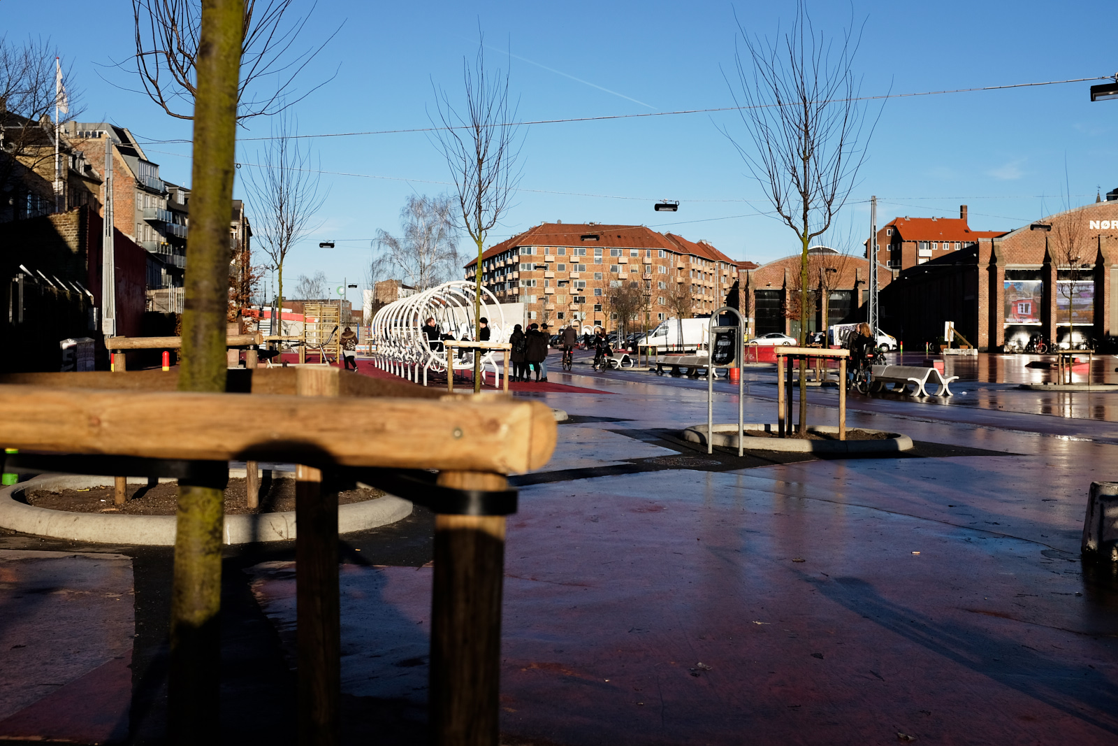 _DSF2510 20-01-17.jpg