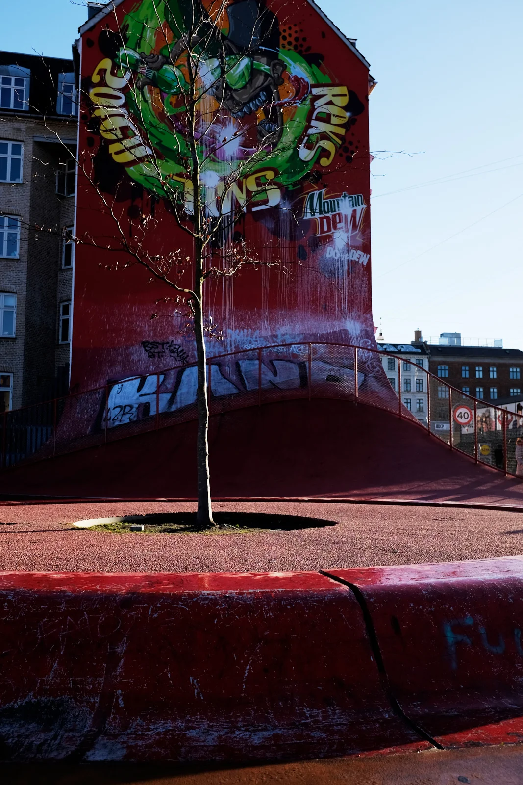 _DSF2528 20-01-17.jpg