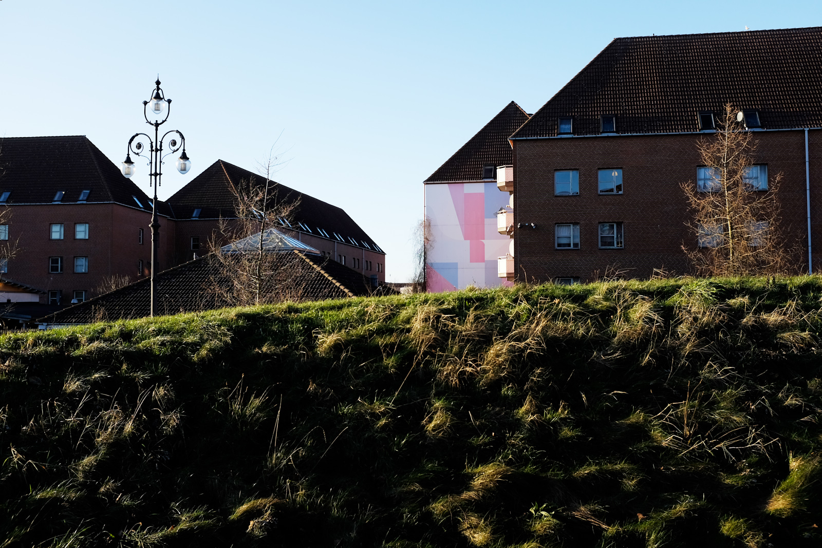 _DSF2812 20-01-17.jpg