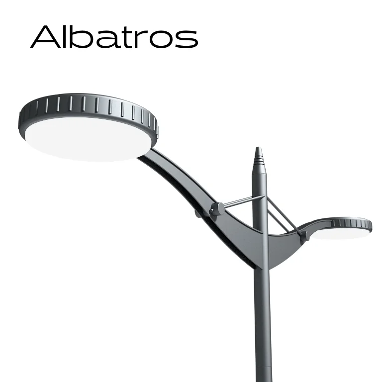 Albatros
