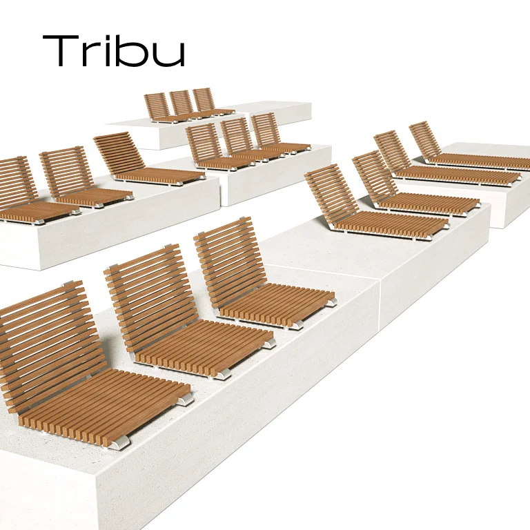 Tribu