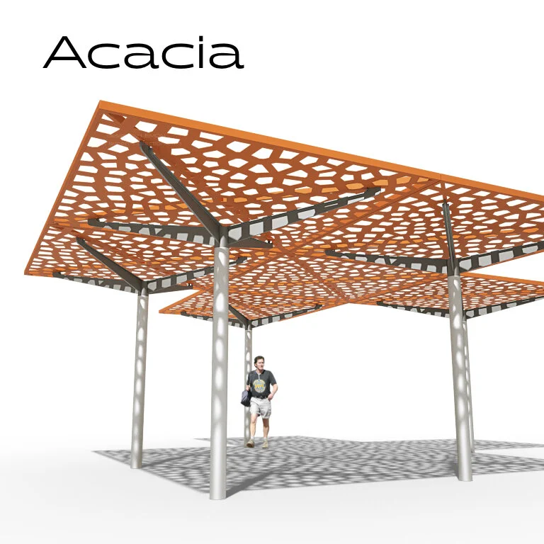 Acacia