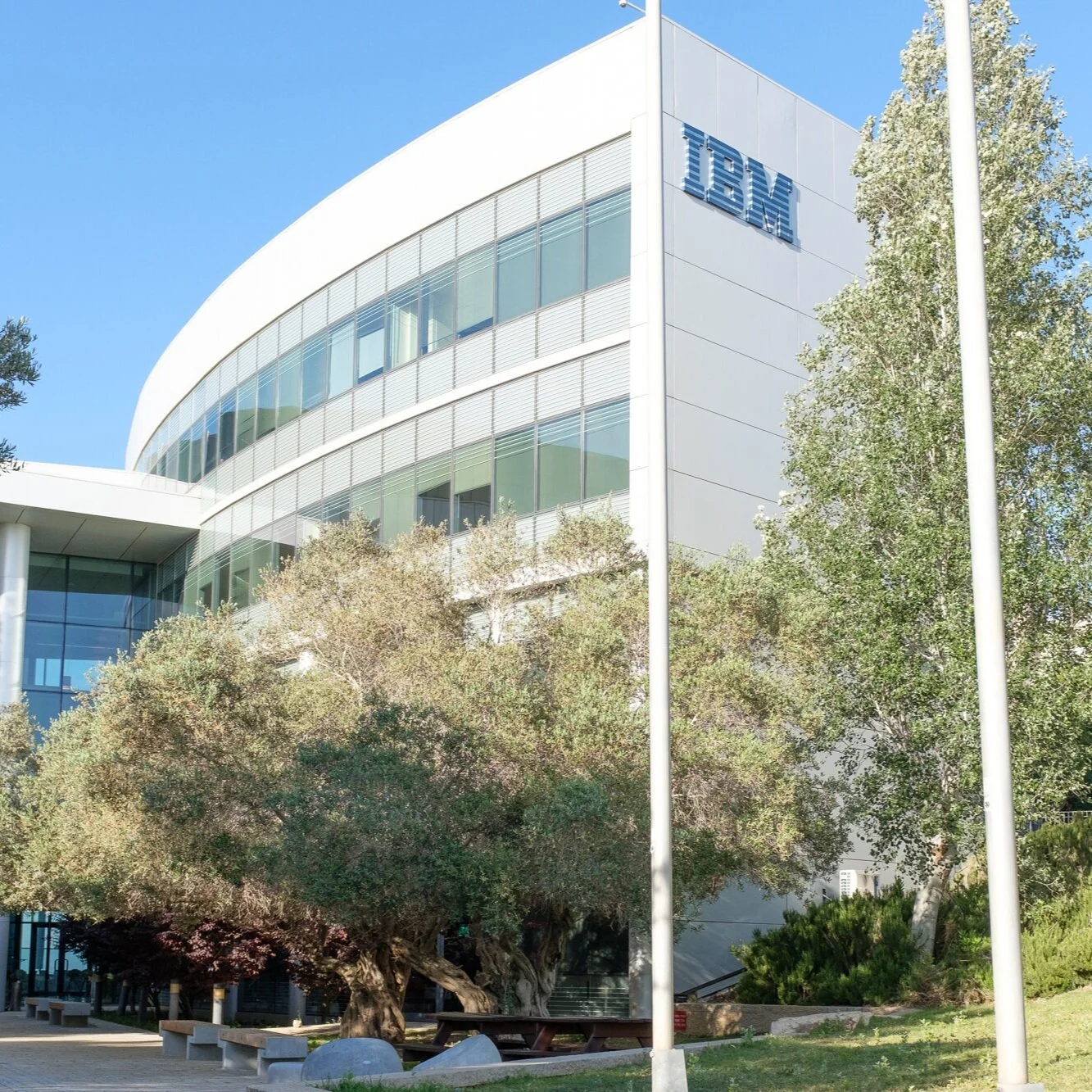 בנין משרדי IBM בחיפה עם רחבת חוץ ועצי זית בחזית