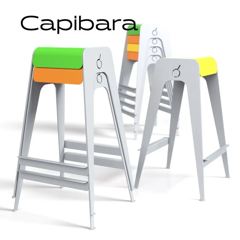 Capibara