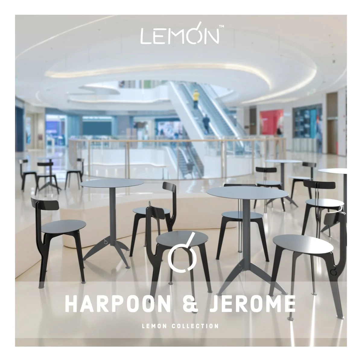 HARPOON &amp; JEROME