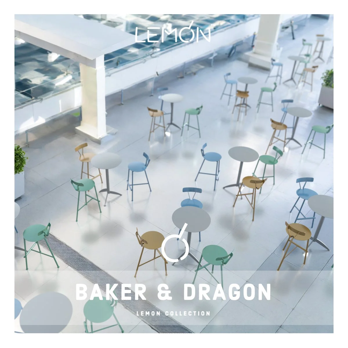 BAKER &amp; DRAGON