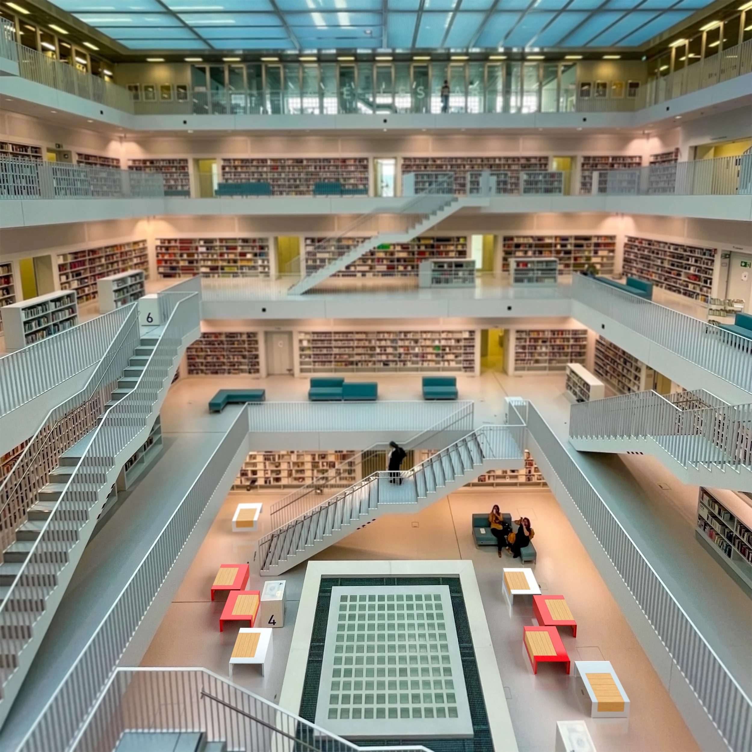 ABRA CADABRA BY LEMON COLLECTION