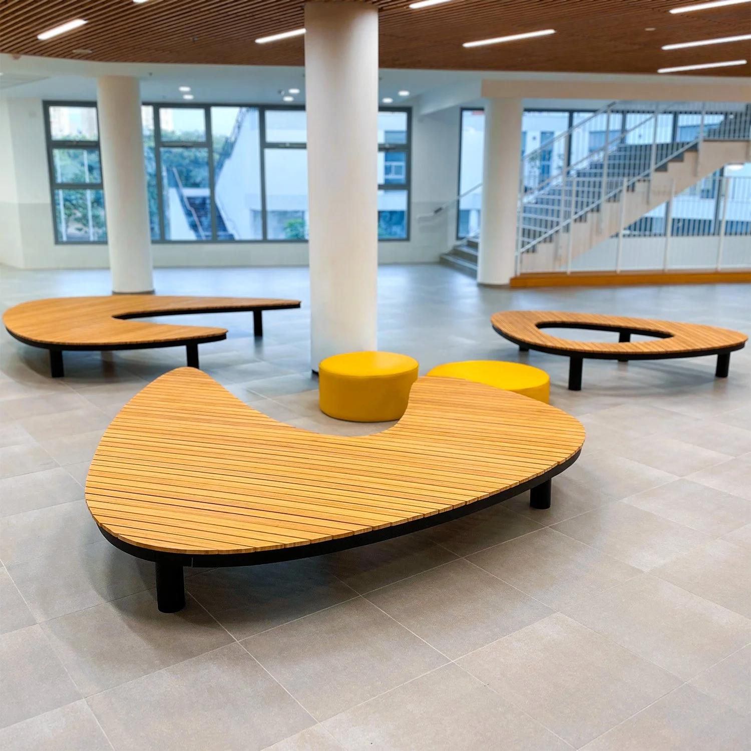 בתי ספר ואקדמיה