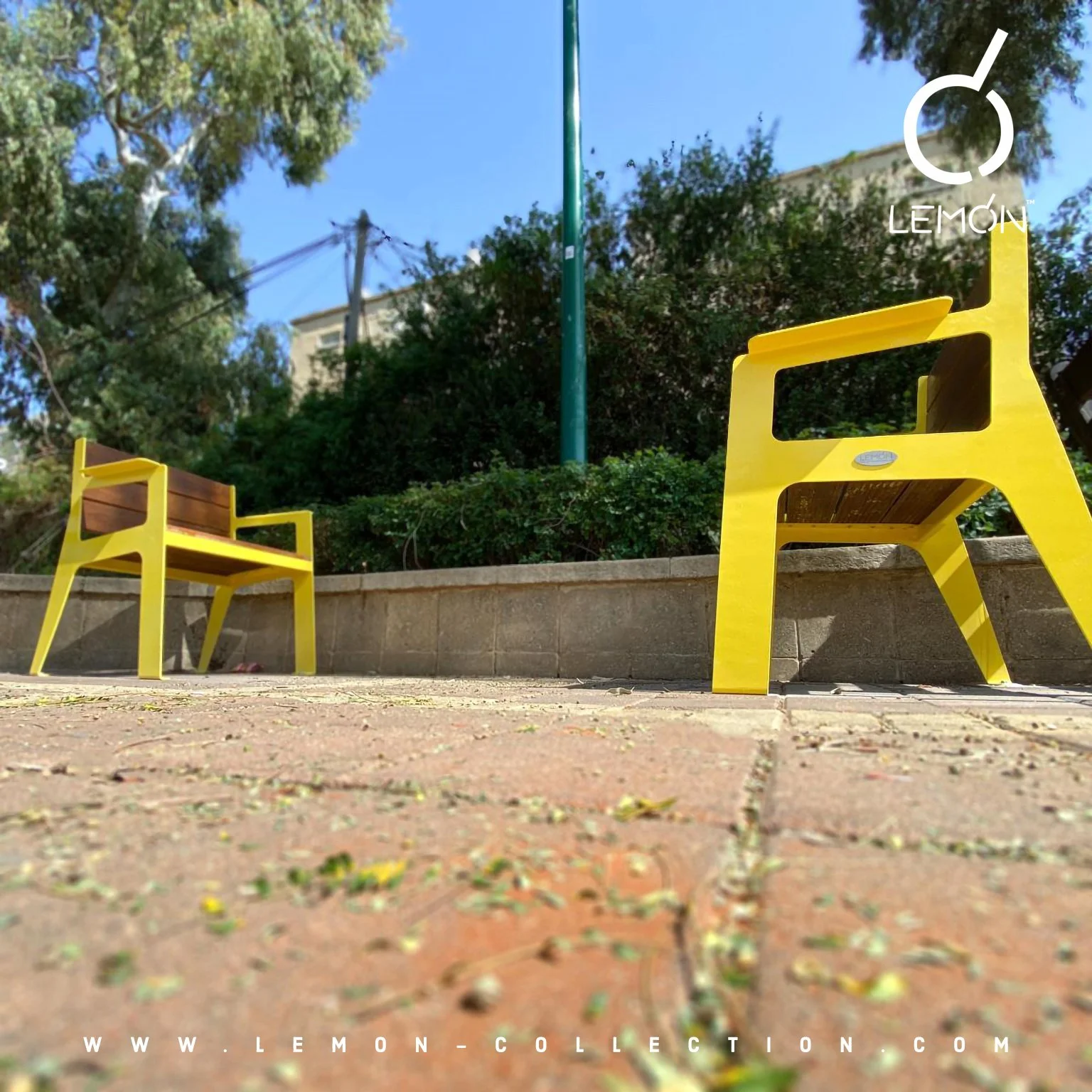 P_1143.jpg