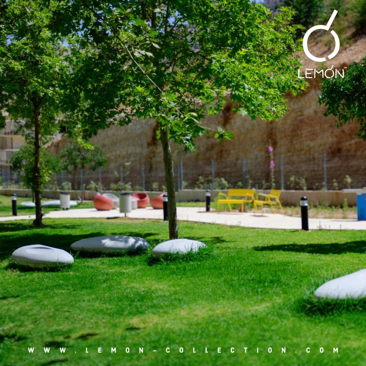 P_1567.jpg