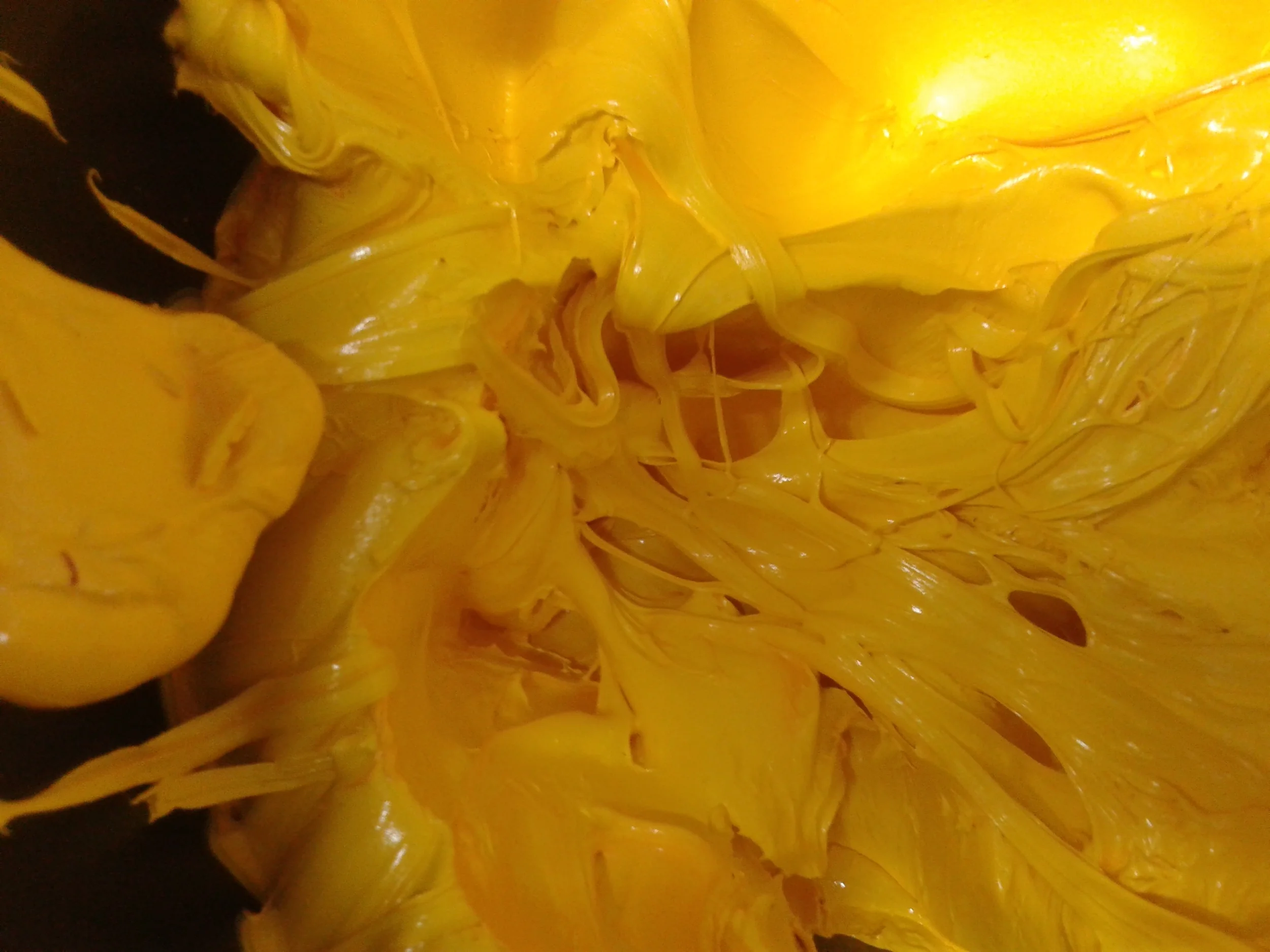 20150508_152213.jpg