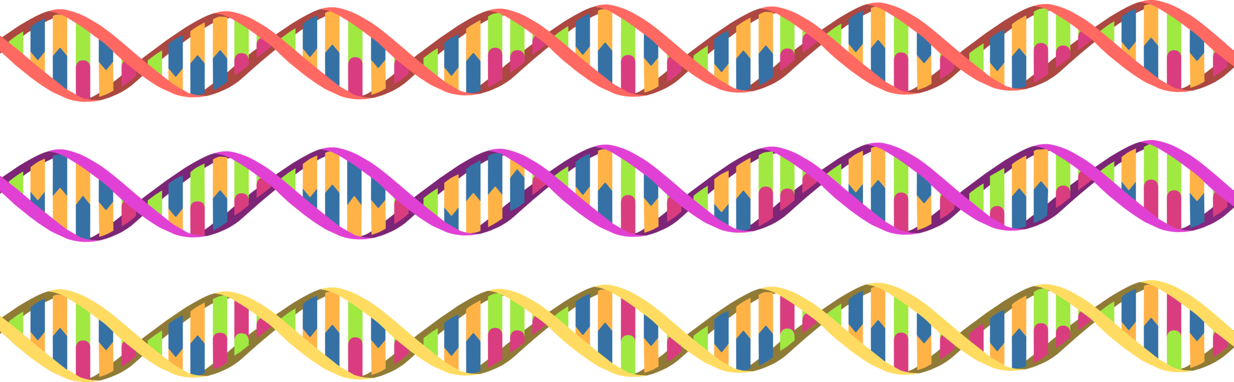Helix DNA library (1).png