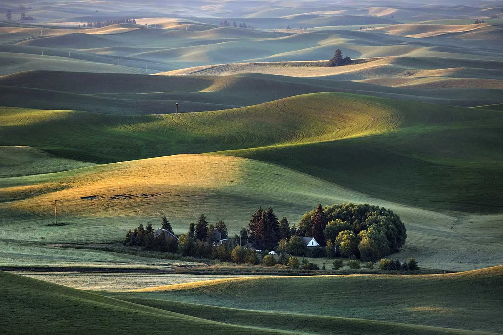 palouse N72A7072 1600px crop.jpg