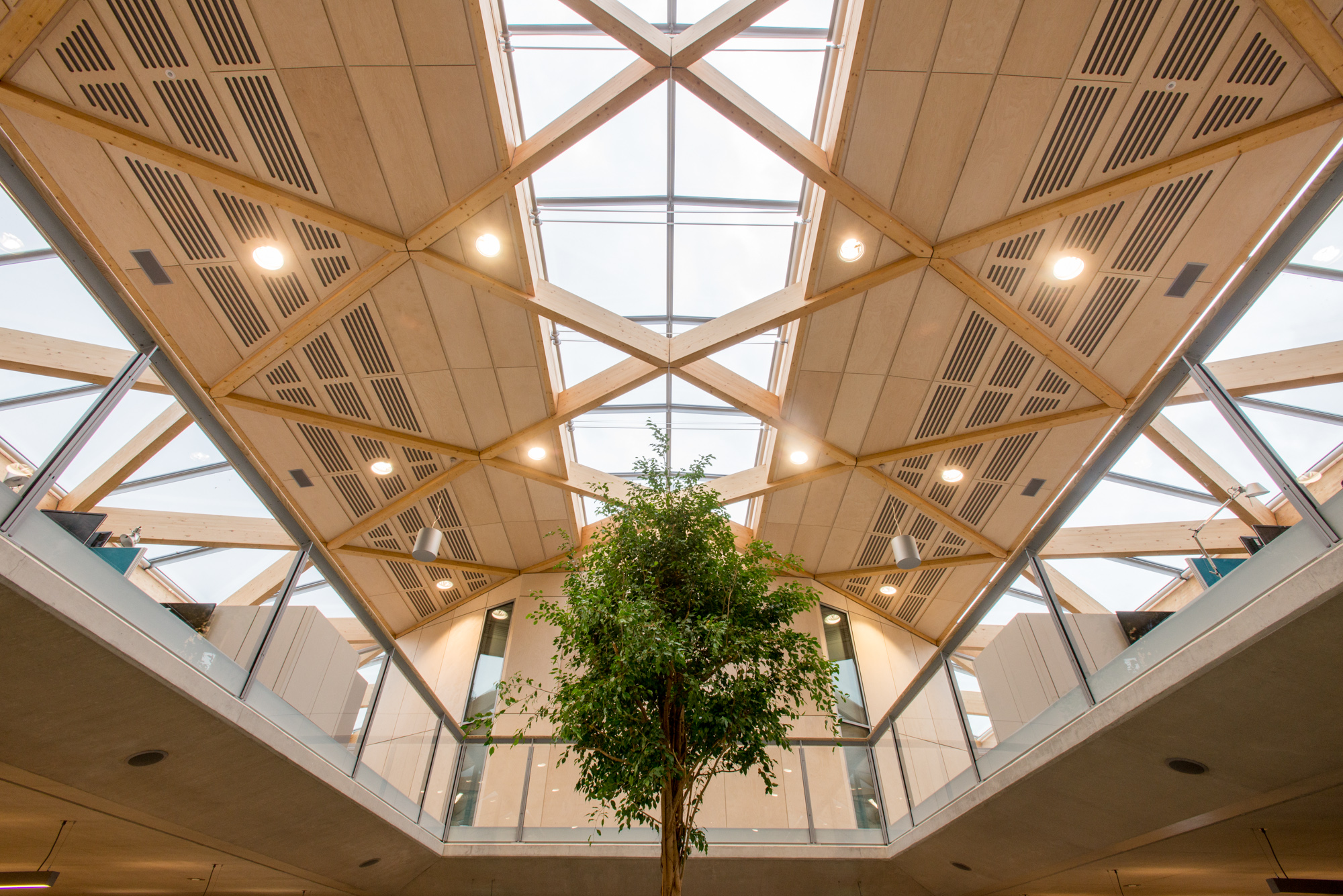 WWF UK HQ, Woking with architectural and interior photography by Richard Stonehouse ,architectural photographer.