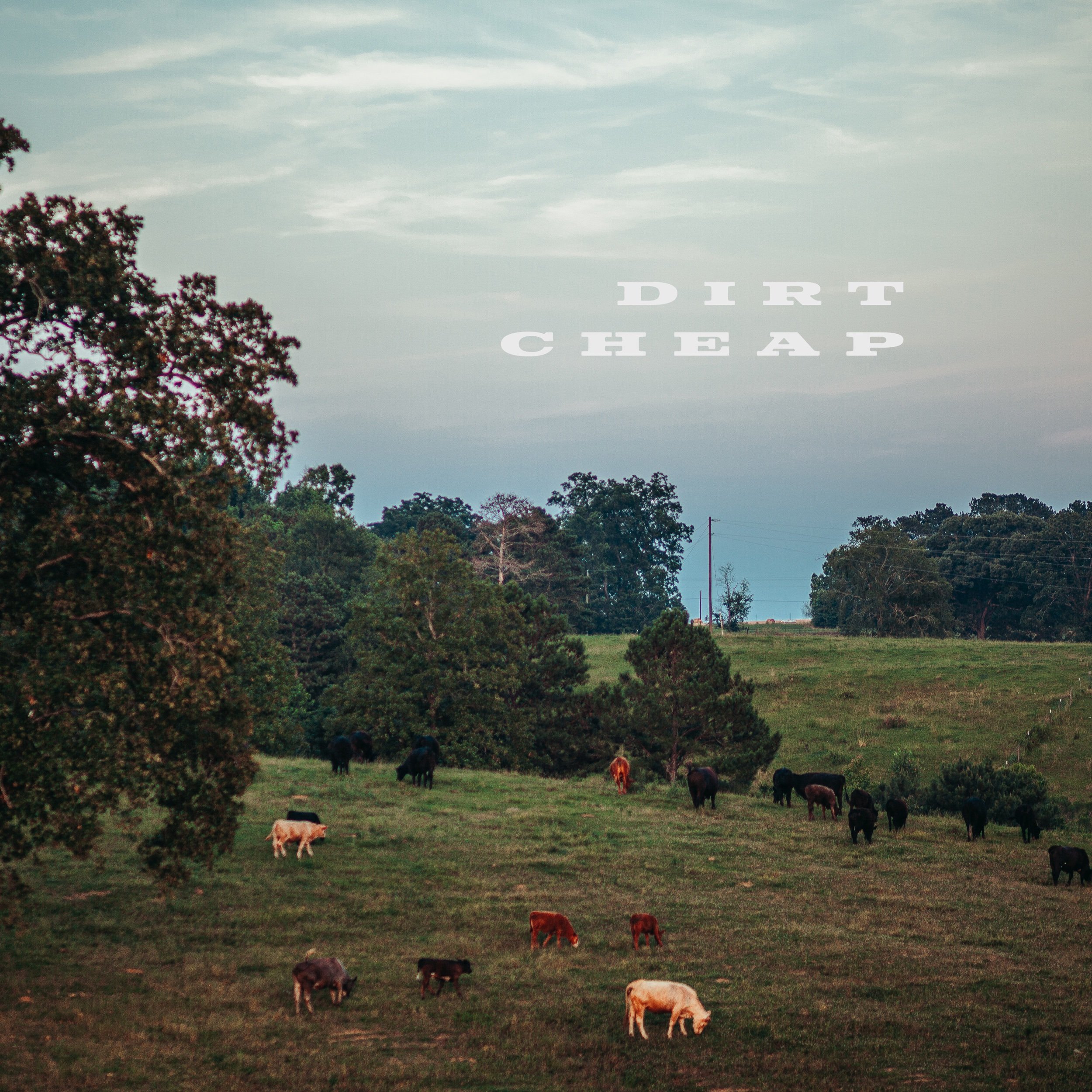  Cover of Brian Kelley’s single “Dirt Cheap”. Released 9/1/23. Photo/Design by yours truly. 