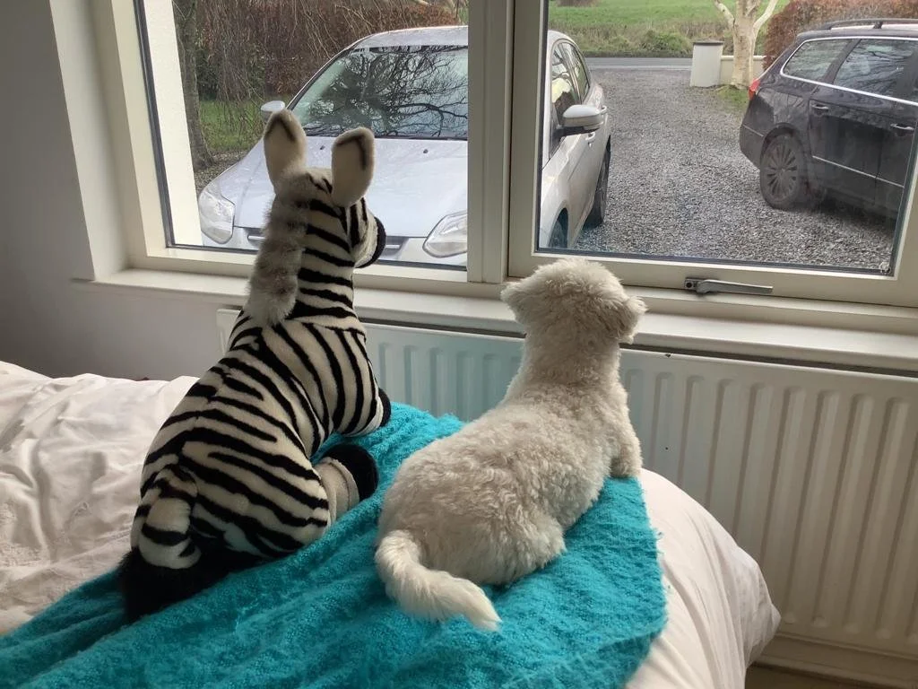 Two drifters, off to see the world...