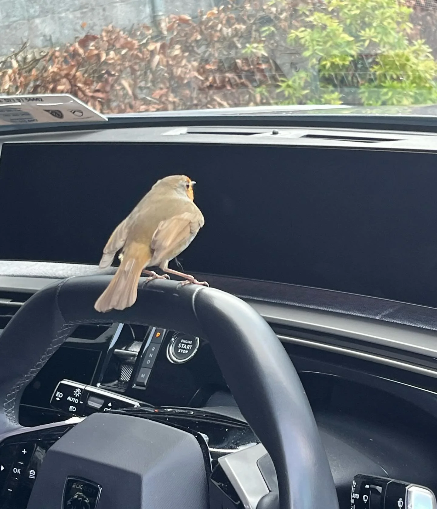 CAR TREASURE HUNT!

A staple of Sligo life in the 1970s and 80s - the tradition has been kept alive in Coolera every year since then by Jim Doyle and Tony Mooney. 

I was asked to take over the setting of the annual hunt last Christmas and so I have 