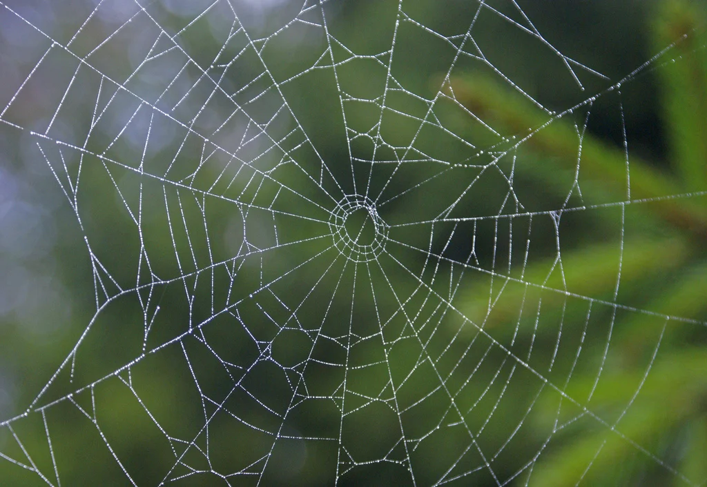 Schoolwebsites ondergeschoven kindjes