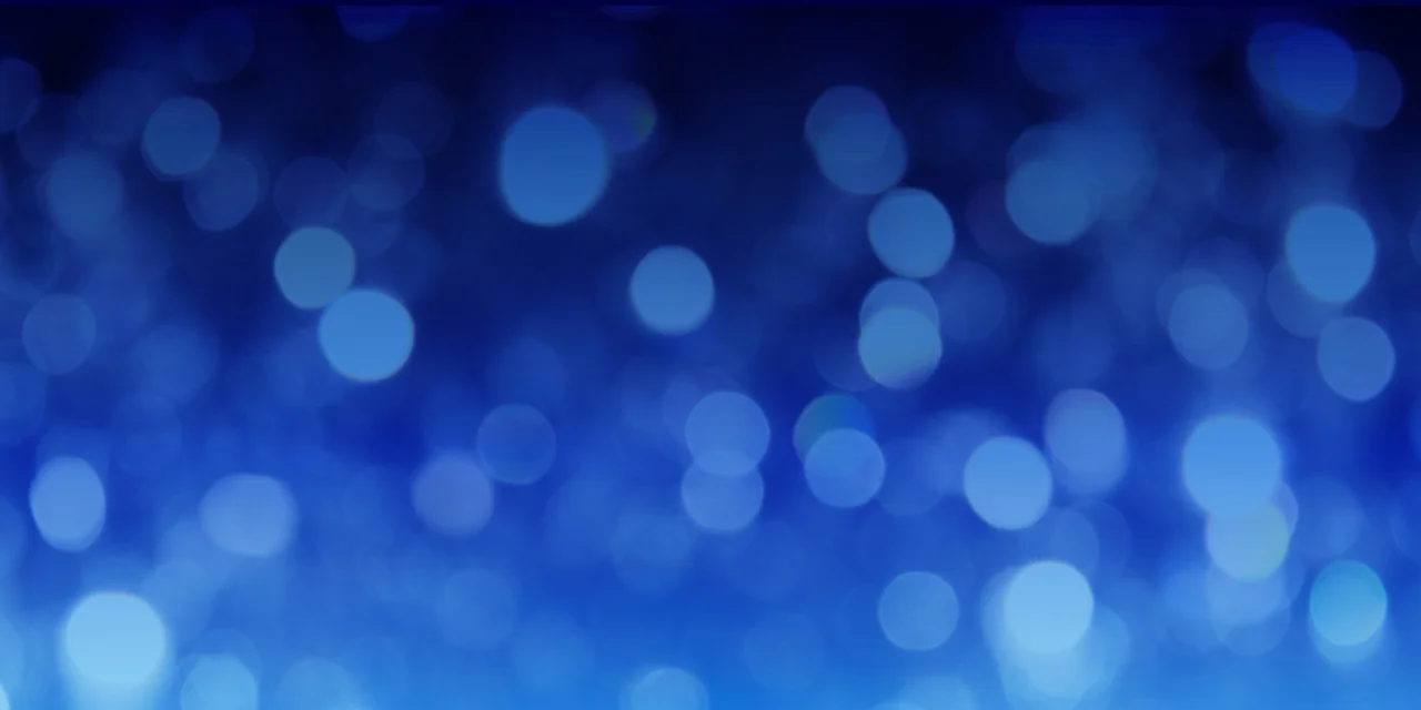 De vier pijlers voor 2016! 