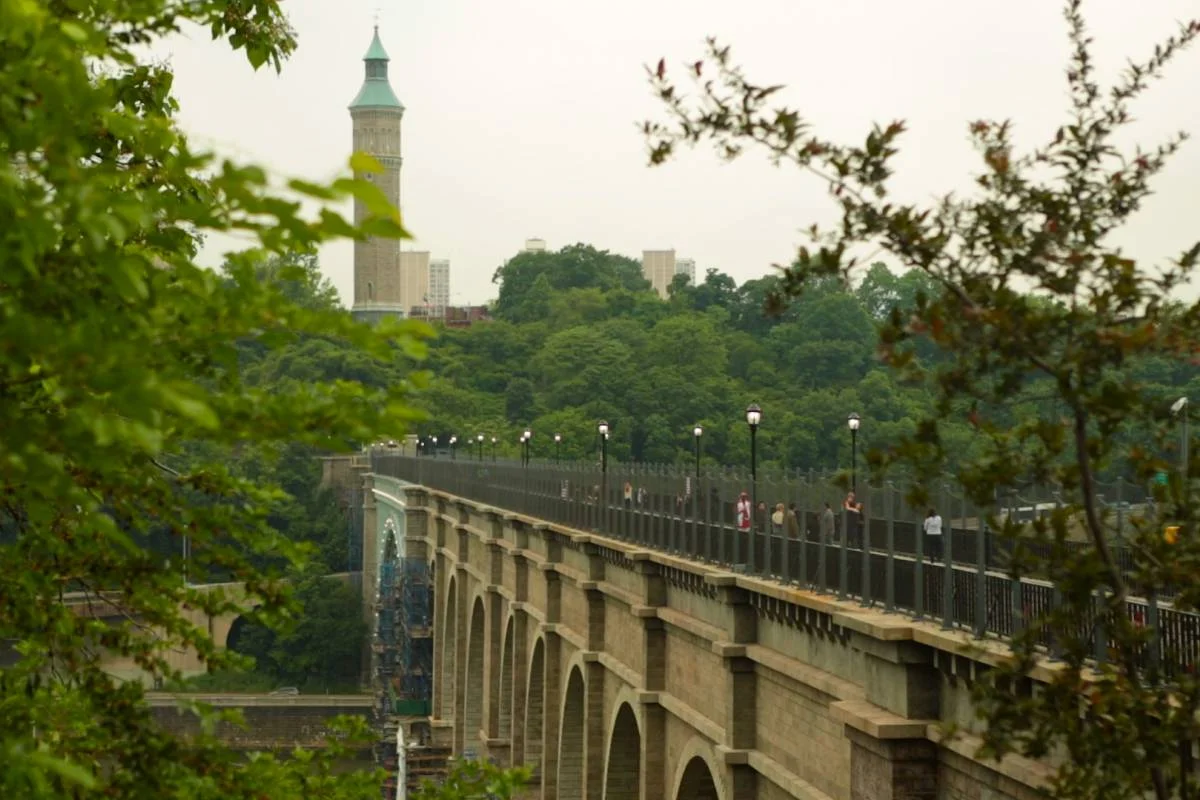 washingtonheights_still__large.jpg