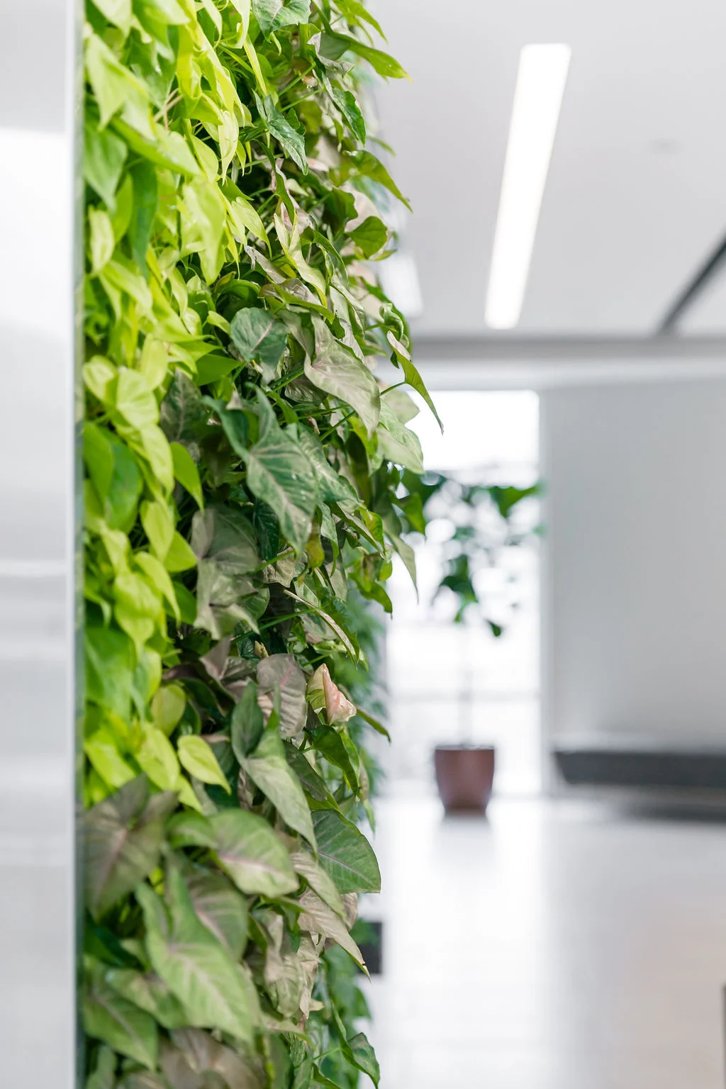 3_LandisGreenLobby_0163.jpg