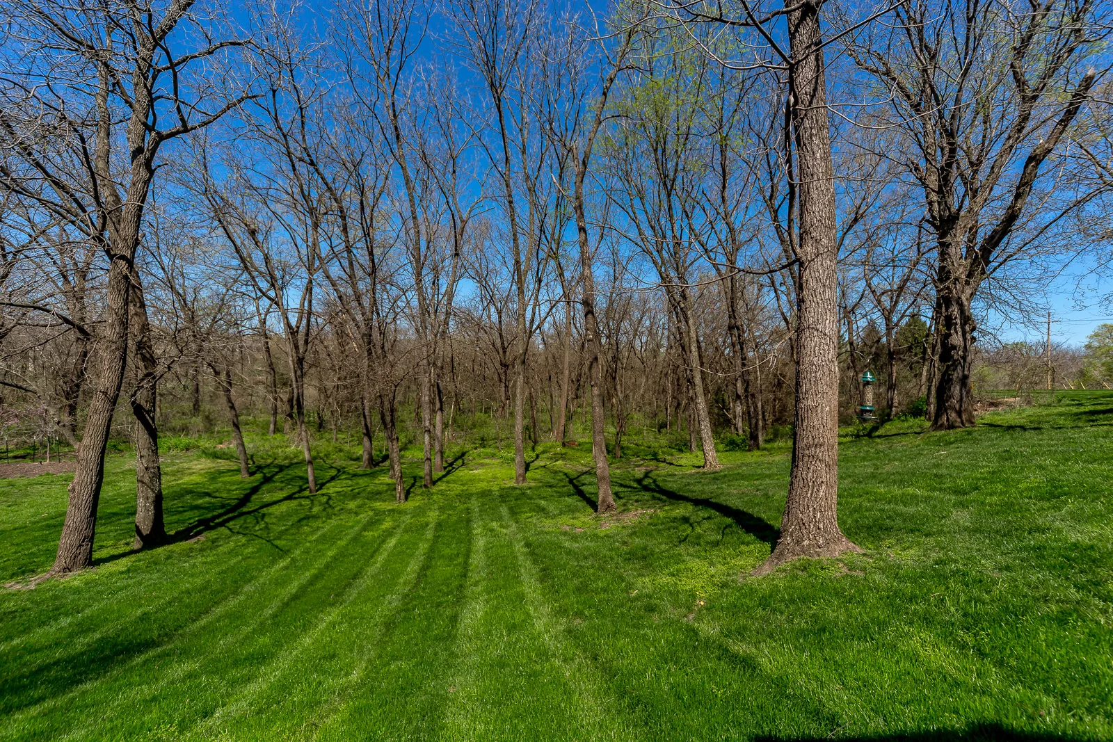 11900 W 141st St - Web-186.jpg