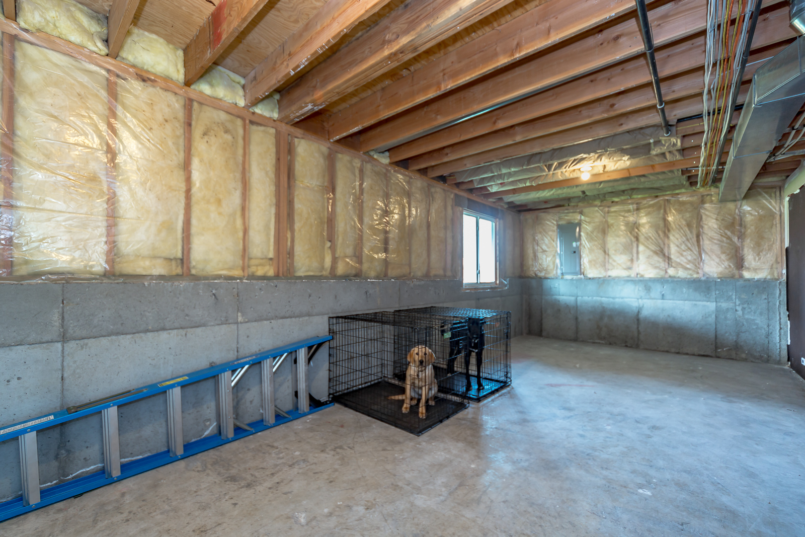 618 S Walnut - web-136.jpg