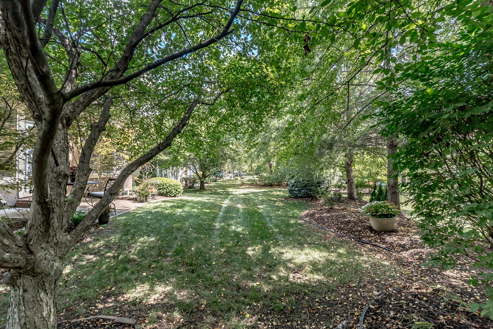 12347 Westgate St - Web-138.JPG