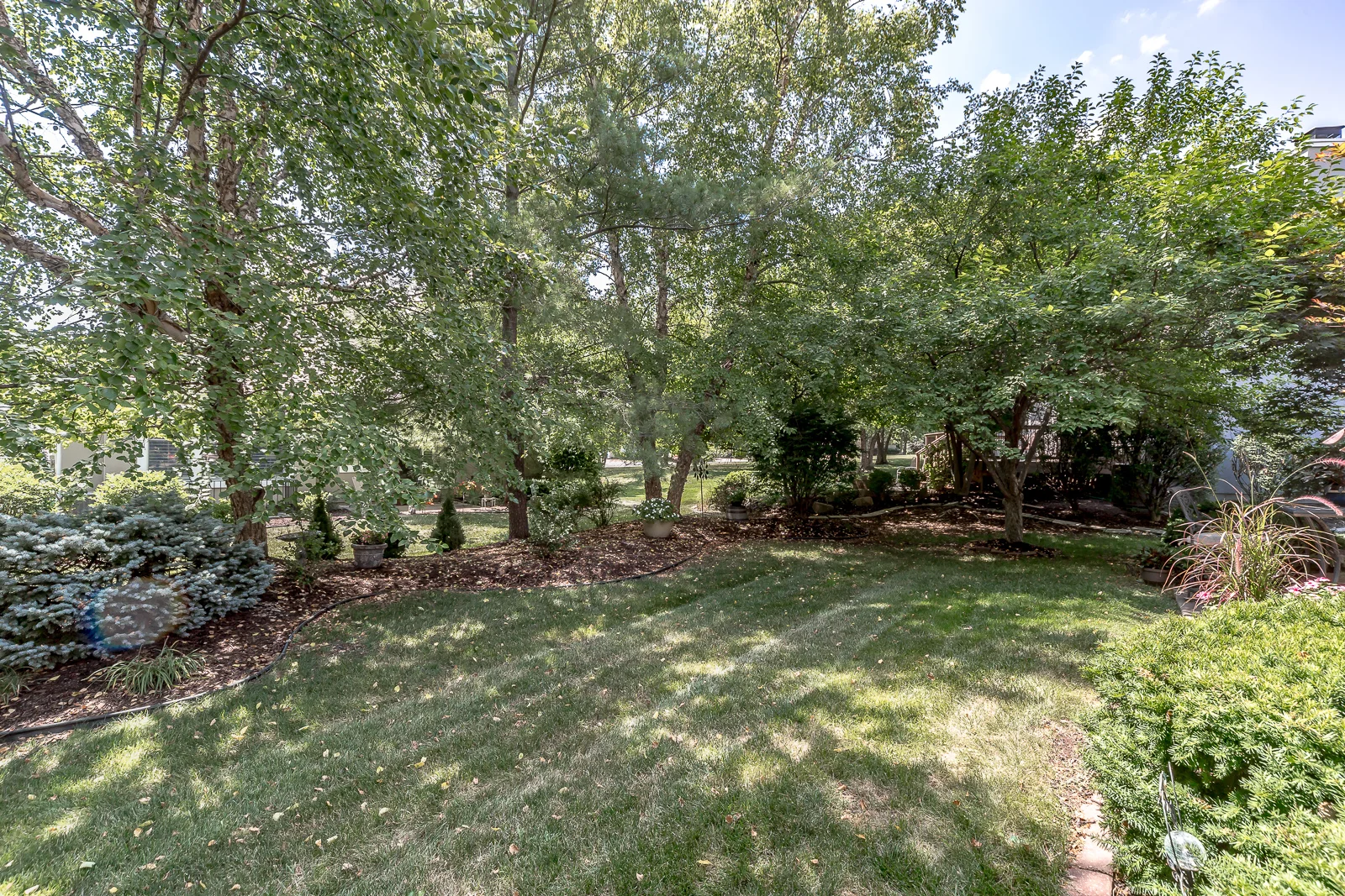 12347 Westgate St - Web-142.JPG