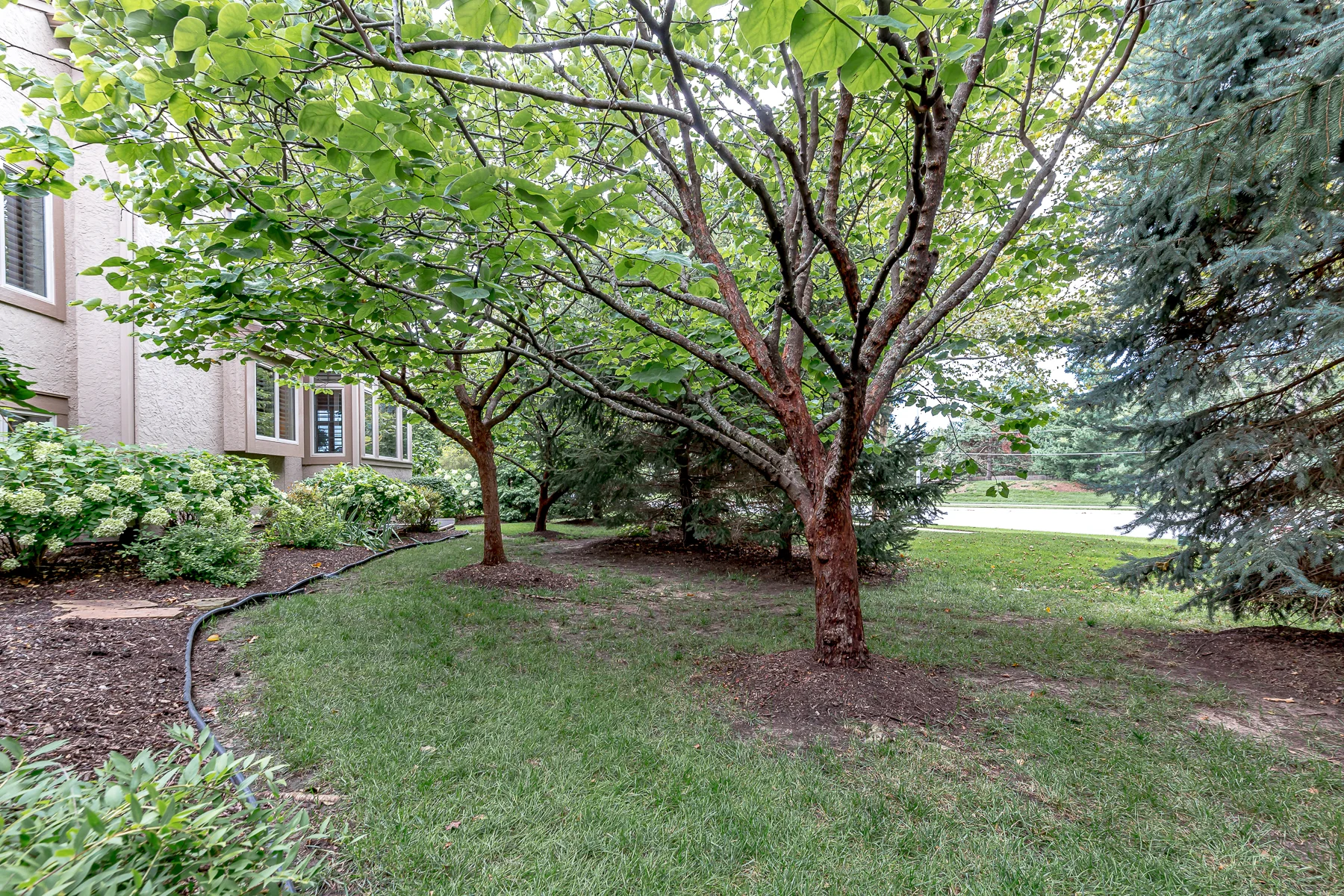 11414 Granada Court - Web-146.JPG