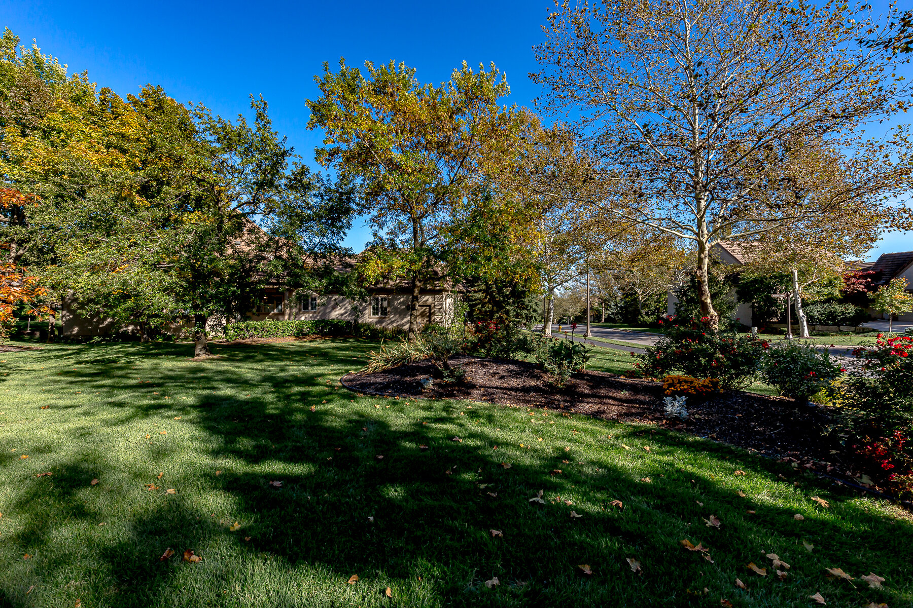 11373 Granada Court - Web-158.JPG