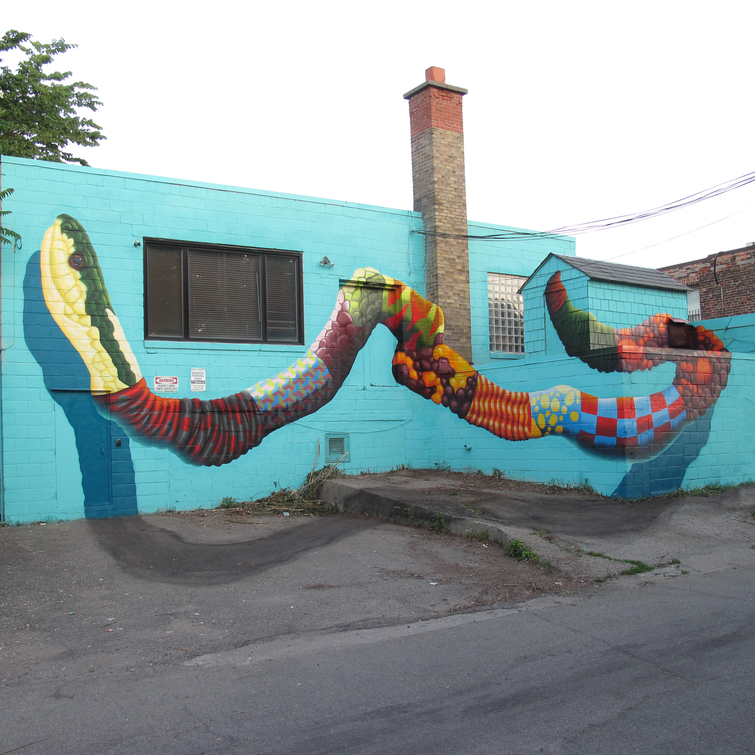 Butler Garter Snake by BIRDO (TO)
